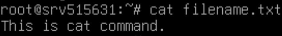 Terminal window showing the output of the cat filename.txt command, to display the content of the file