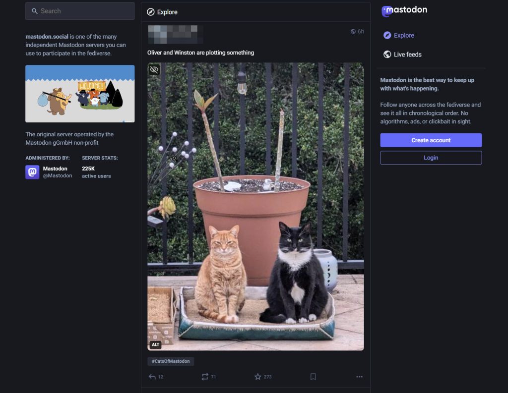 A screenshot showing Mastodon's feed page and an example post with actions buttons below the post.