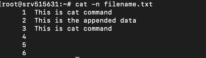 Terminal window showing the output of the cat -n filename.txt command to view the repeated empty lines