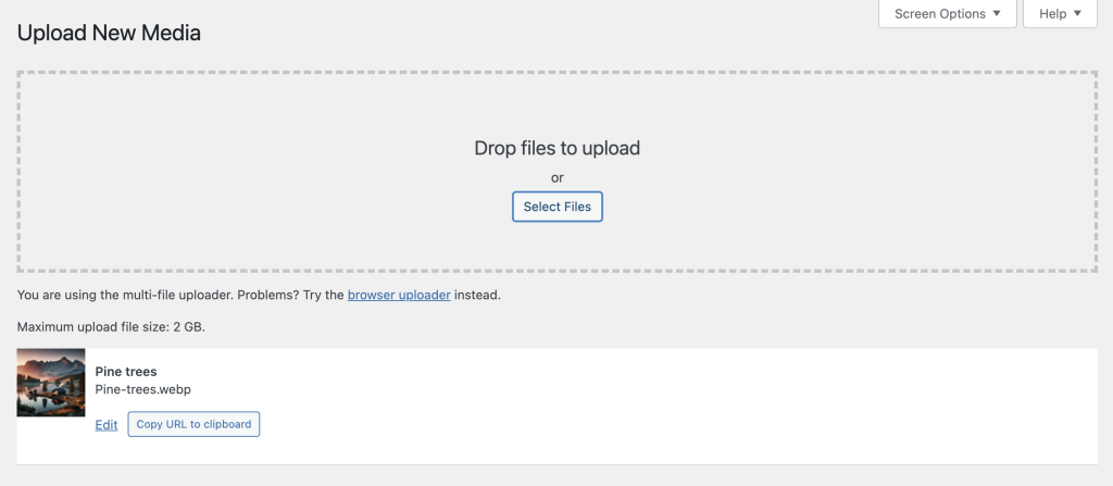 The Upload New Media page in WordPress