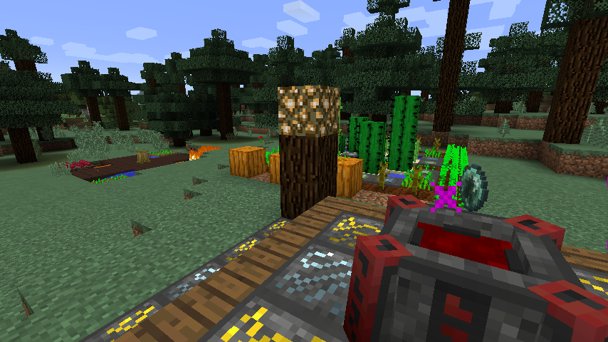 First-person Minecraft screenshot of a dark forest, magma-like block on top of a tree chunk and the character holding a grey magical block with red ornaments