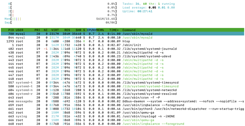 The htop command's output in the terminal