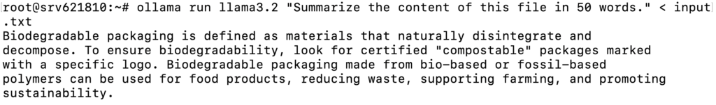 Terminal displaying an Ollama model's response to summarizing a TXT file