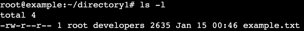 The ls -l command's output in the terminal