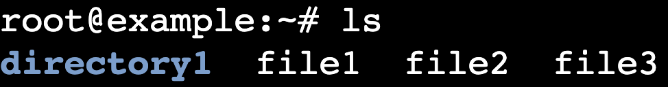 The ls command's output in the terminal