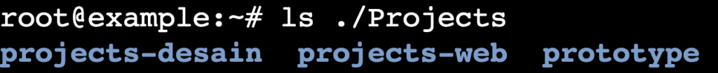 The ls ./Projects command's output in the terminal